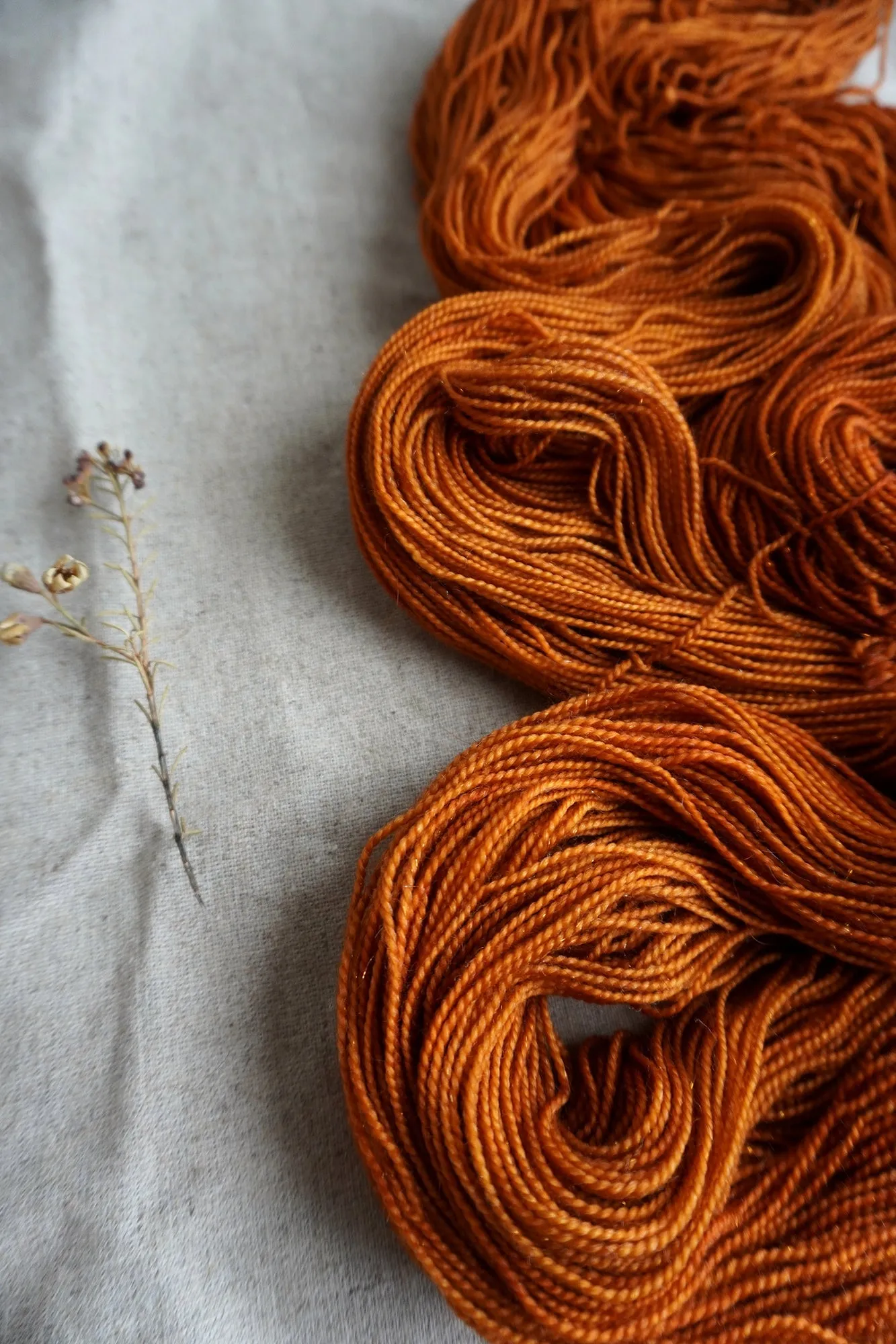 Athena - Pumpkin Spice