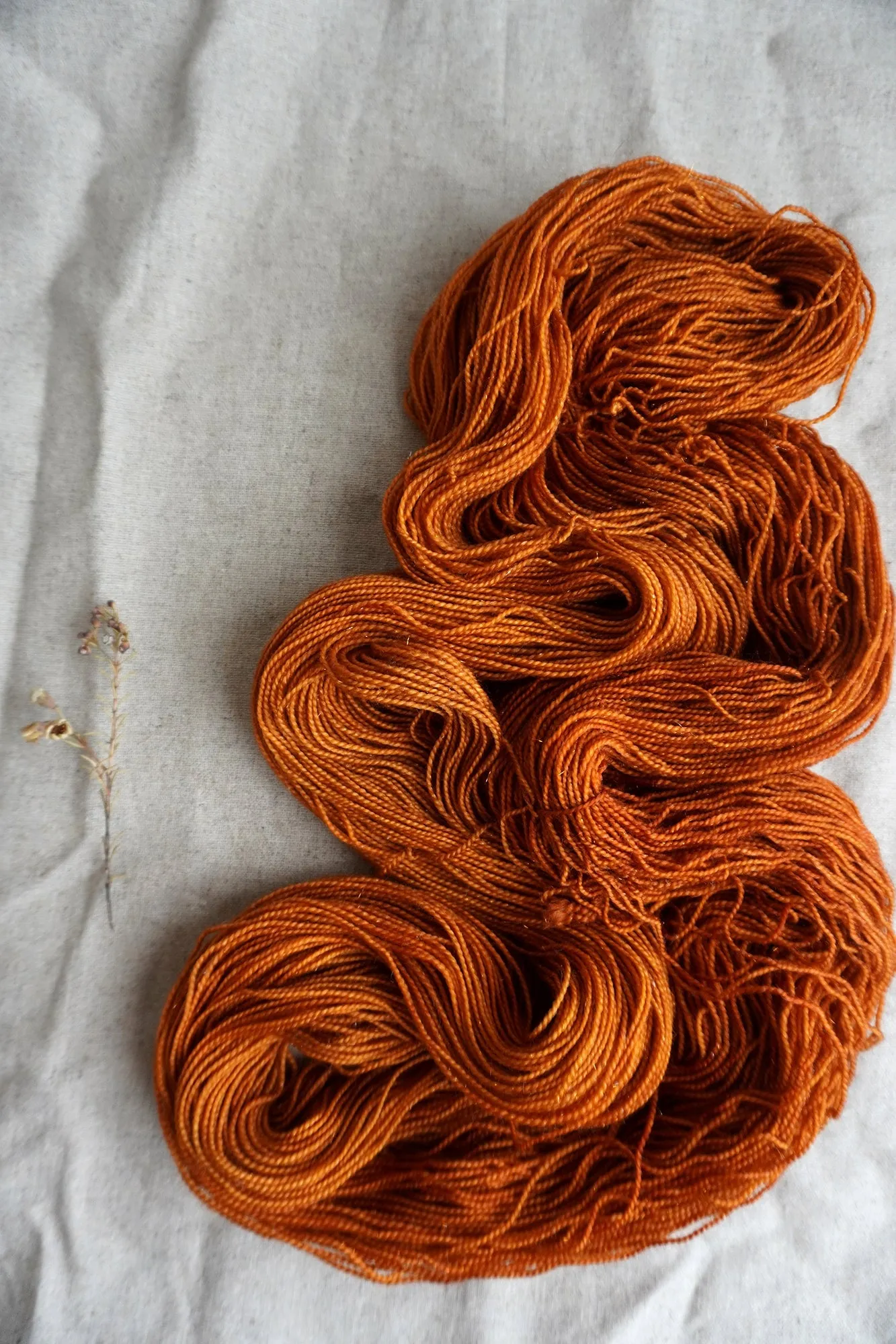 Athena - Pumpkin Spice