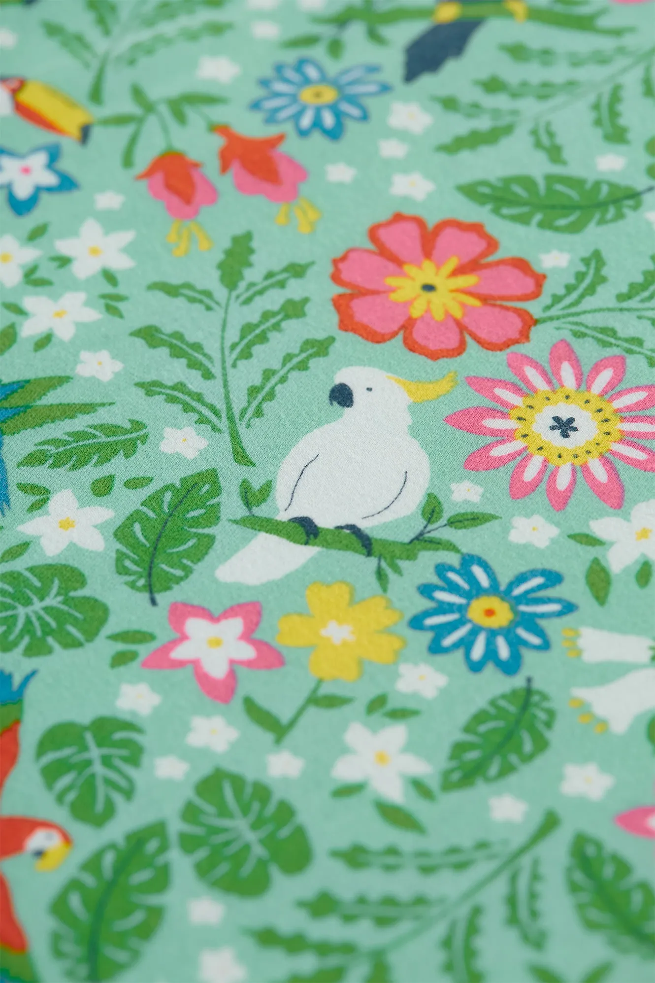 Frugi Spring Skater Dress Mm2ch Tropical Birds
