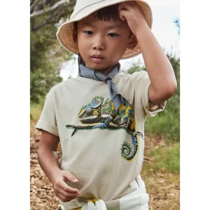 Mayoral Boys Chameleon T-Shirt 3045 Stone