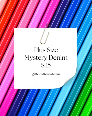 Plus Size Mystery Denim $45