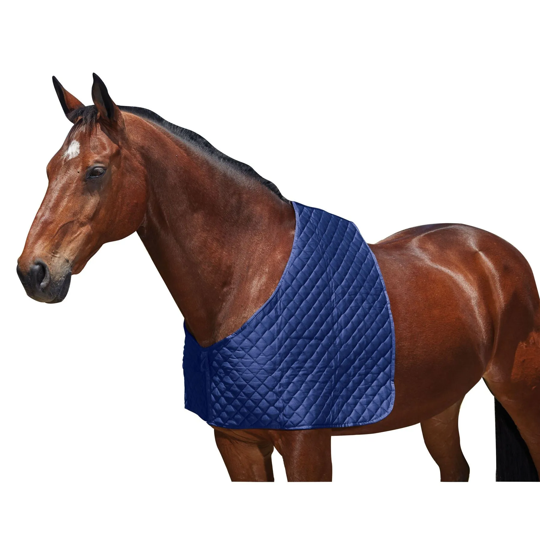 Weatherbeeta Deluxe Shoulder Guard